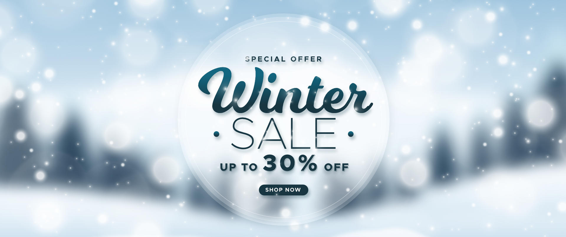 Winter Sale Banner